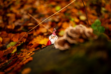 Kerstmanneke