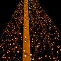 Kerst Hoogkarspel 2025