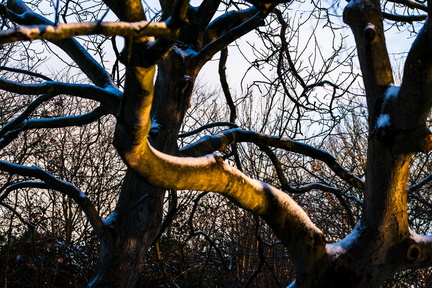 Winter in Hoogkarspel 2026