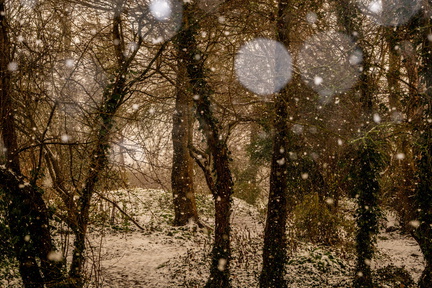 Winter in Hoogkarspel 2026
