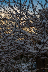 Winter in Hoogkarspel 2026