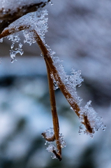 Winter Hoogkarspel 2026