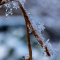 Winter Hoogkarspel 2026