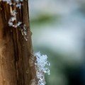 Winter Hoogkarspel 2026