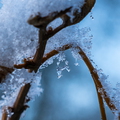 Winter Hoogkarspel 2026