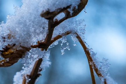 Winter Hoogkarspel 2026