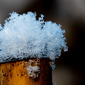 Winter Hoogkarspel 2026