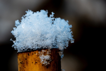 Winter Hoogkarspel 2026