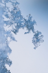 Winter Hoogkarspel 2026