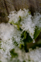 Winter Hoogkarspel 2026