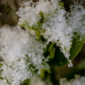 Winter Hoogkarspel 2026