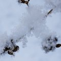 Winter Hoogkarspel 2026