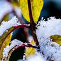 Winter Hoogkarspel 2026