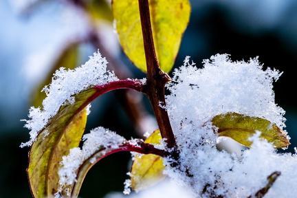 Winter Hoogkarspel 2026