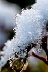 Winter Hoogkarspel 2026