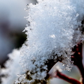 Winter Hoogkarspel 2026
