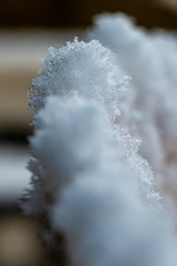Winter Hoogkarspel 2026