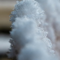 Winter Hoogkarspel 2026