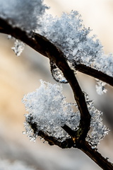 Winter Hoogkarspel 2026