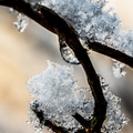 Winter Hoogkarspel 2026