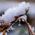 Winter Hoogkarspel 2026