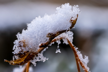 Winter Hoogkarspel 2026