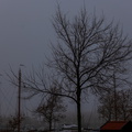 Haven van Hoorn
