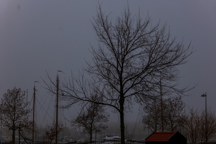 Haven van Hoorn