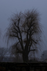 Hoogkarspel 13-1-2026