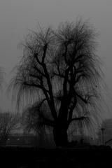 Hoogkarspel 13-1-2026