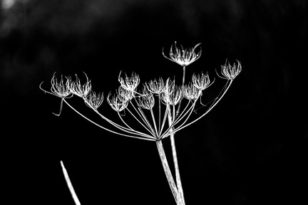 Hoogkarspel 13-1-2026