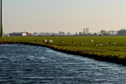 Zwaagdijk