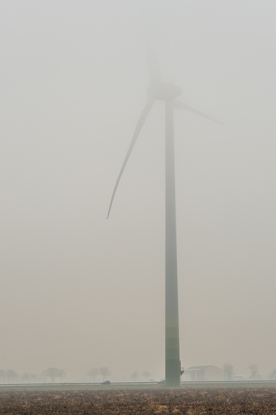 _1106173.JPG