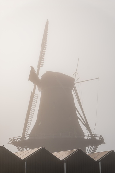 _1106217.JPG