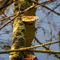 Egboetswater