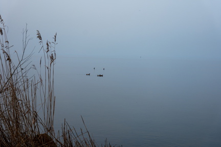 Enkhuizen Ijsselmeer