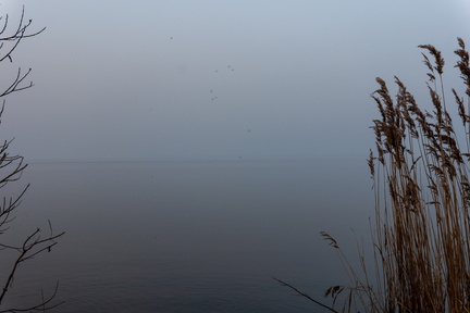 Enkhuizen Ijsselmeer