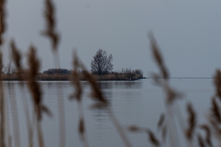 Enkhuizen Ijsselmeer